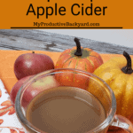 Slow Cooker Pumpkin Spice Apple Cider Pinterest pin