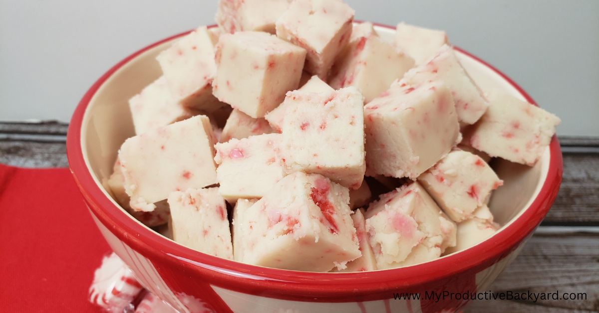 Simple Keto Peppermint Fudge – My Productive Yard